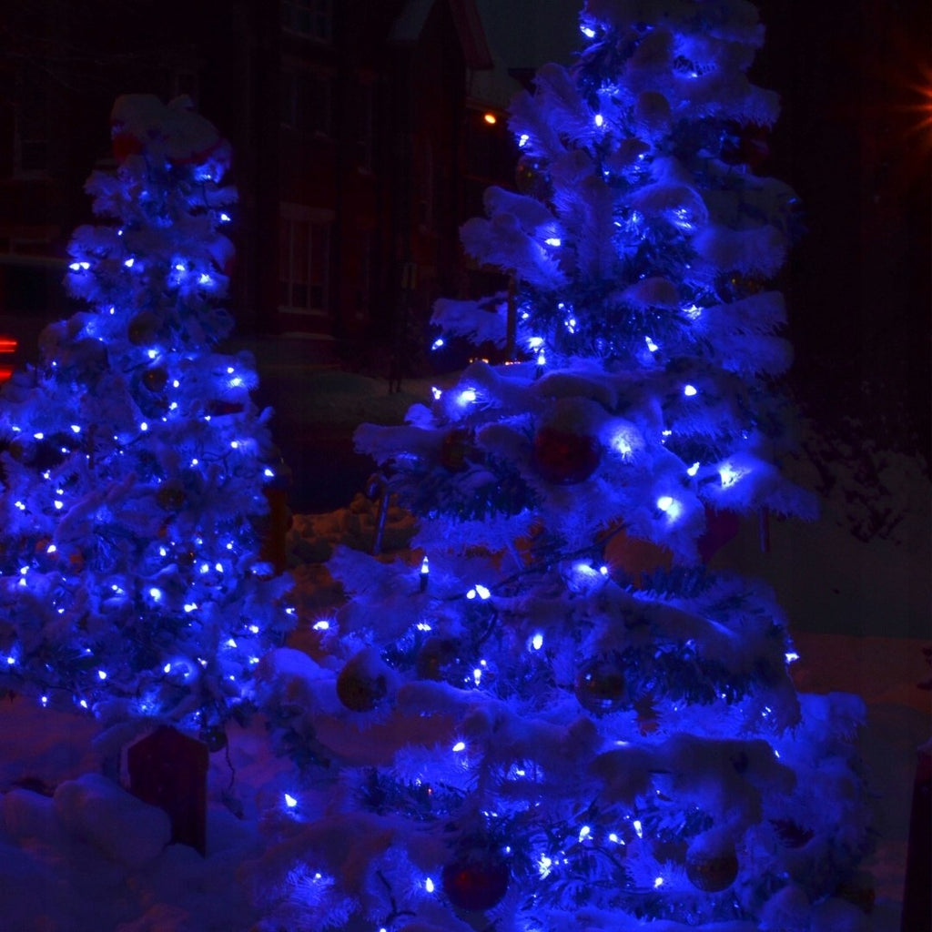 Lampki choinkowe 100 LED, 7 m, niebieskie, zdjęcie 6