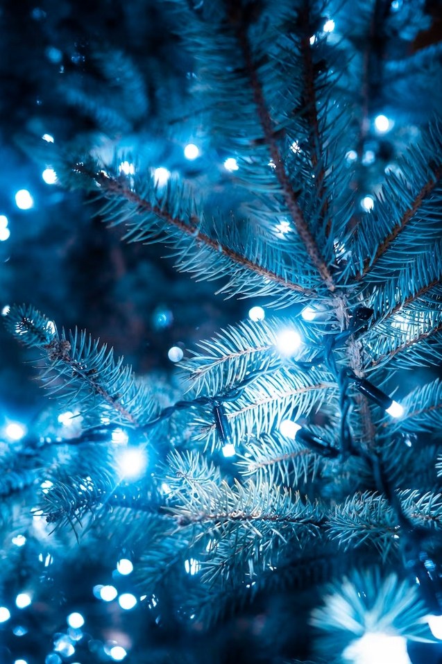 Lampki choinkowe 1000 LED, 71 m, zimna biel, zdjęcie 7
