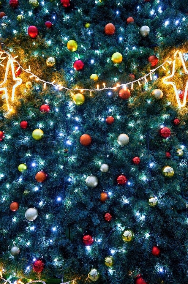 Lampki choinkowe 1000 LED, 71 m, zimna biel, zdjęcie 9