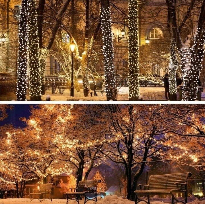 Lampki choinkowe 1000 LED, 71 m, ciepła biel, zdjęcie 8